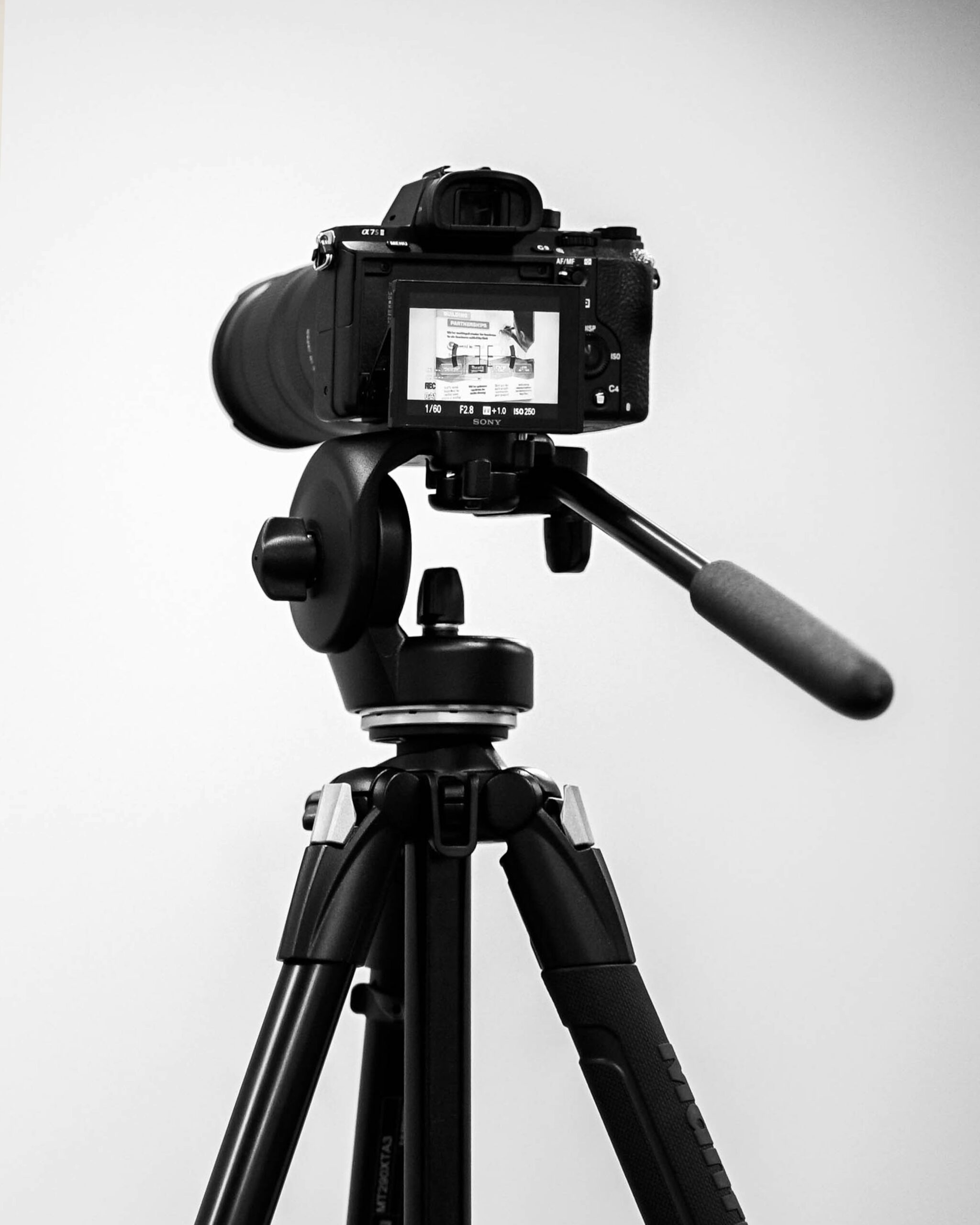 Film courses and workshops with Metamora Films